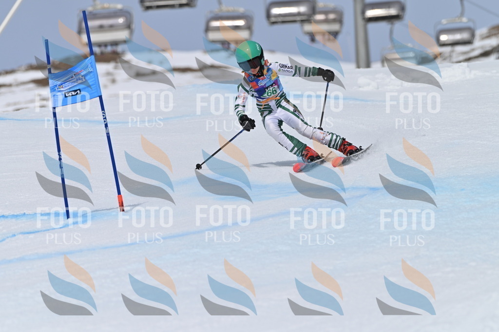 BGV_5282 | holidayphoto