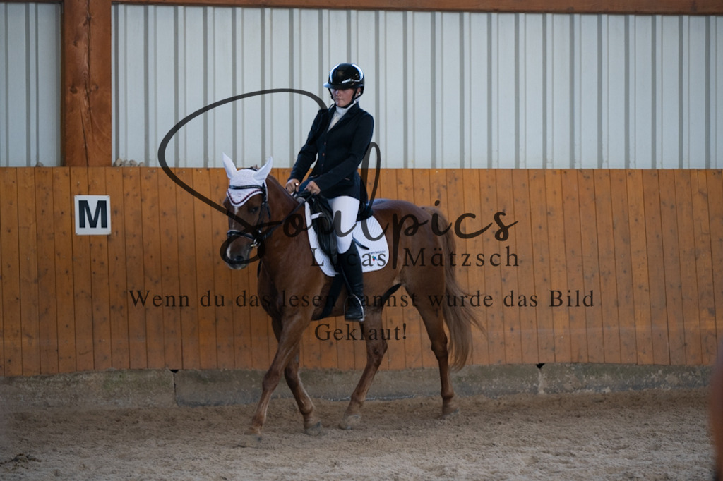 A7V02139 | Turnier/Reitfotograf