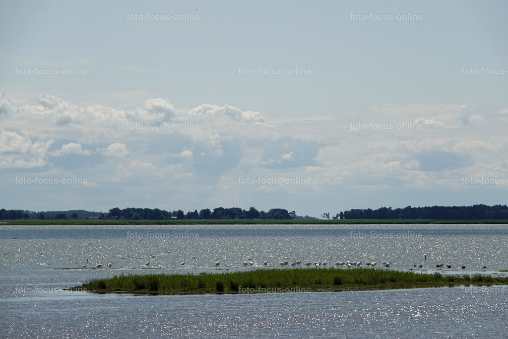Bodstedter Bodden | foto-focus-online