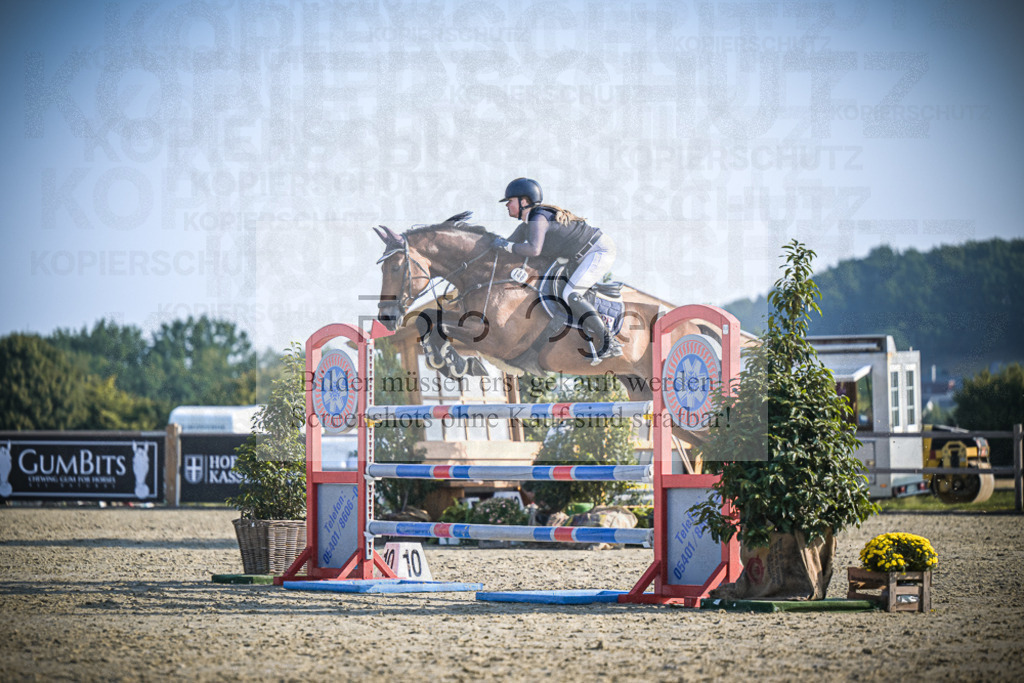 DOS_2046 | Entdecke hochwertige Reitturnierfotos von Foto Oger. Professionell, emotional und authentisch – jetzt Lieblingsmomente im Shop bestellen.Deutschlandweite Turnierfotografie. - Realisiert mit Pictrs.com