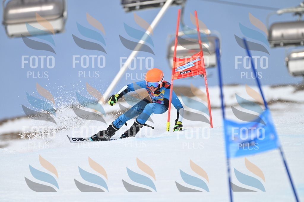 BGV_3945 | holidayphoto