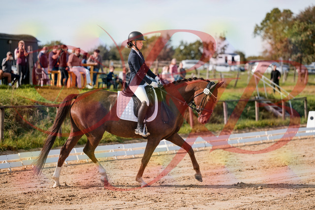 2026_10_03_Siefer-Hof_114720_Z63_25804836 | Professionelle Reitsport-, Turnier- und Eventfotografie von Robert Broda. Galerien mit ausgewählten und bearbeiteten Bildern direkt online ansehen und bestellen.
