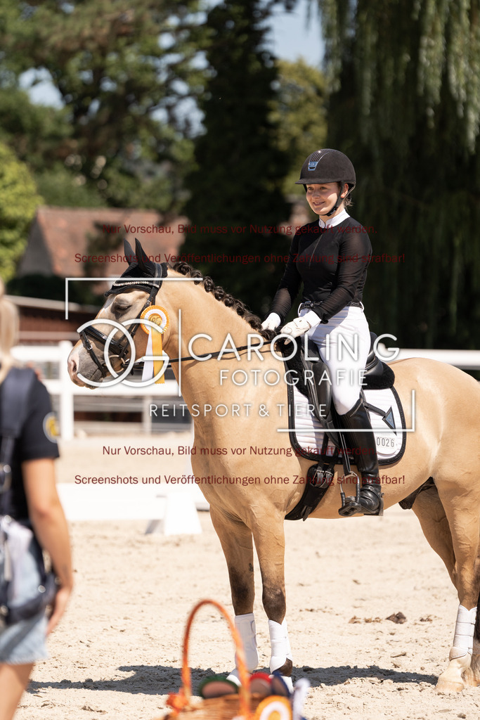 DSC05788 | Dressurturnier_Göppingen_2026, Katharina_Auletta, Maverick