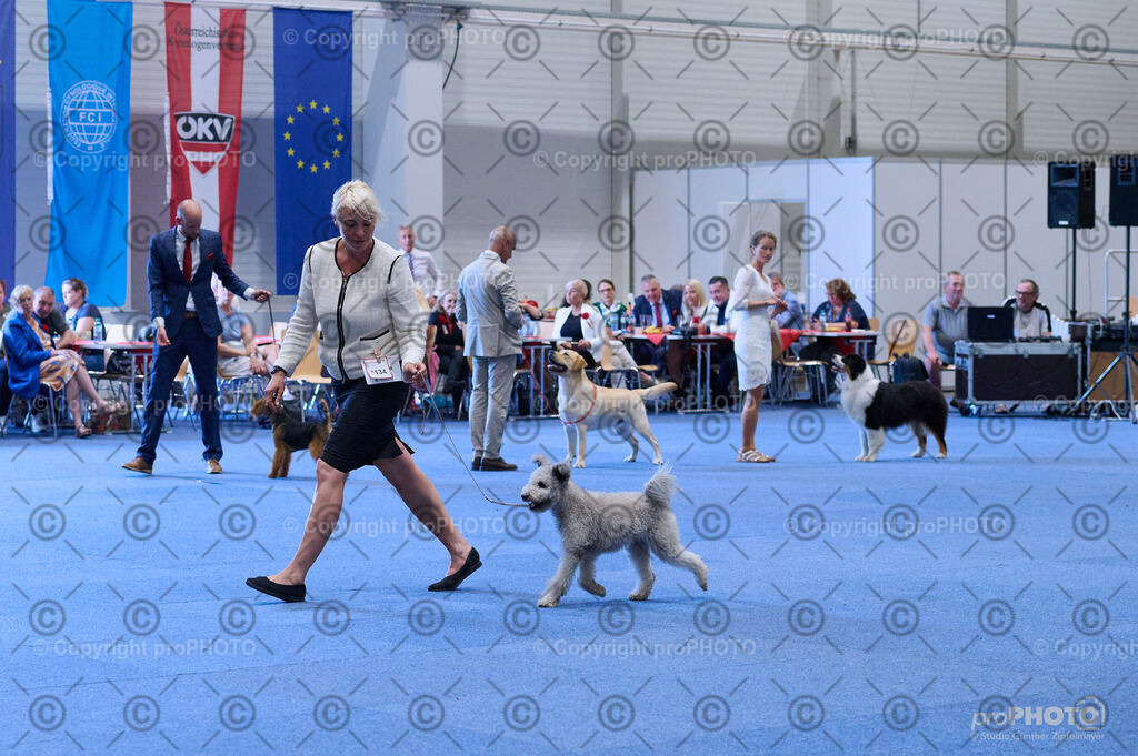 202406_ÖKV-IHA-Tulln24_DSC_4381 | proPHOTO - Realisiert mit Pictrs.com