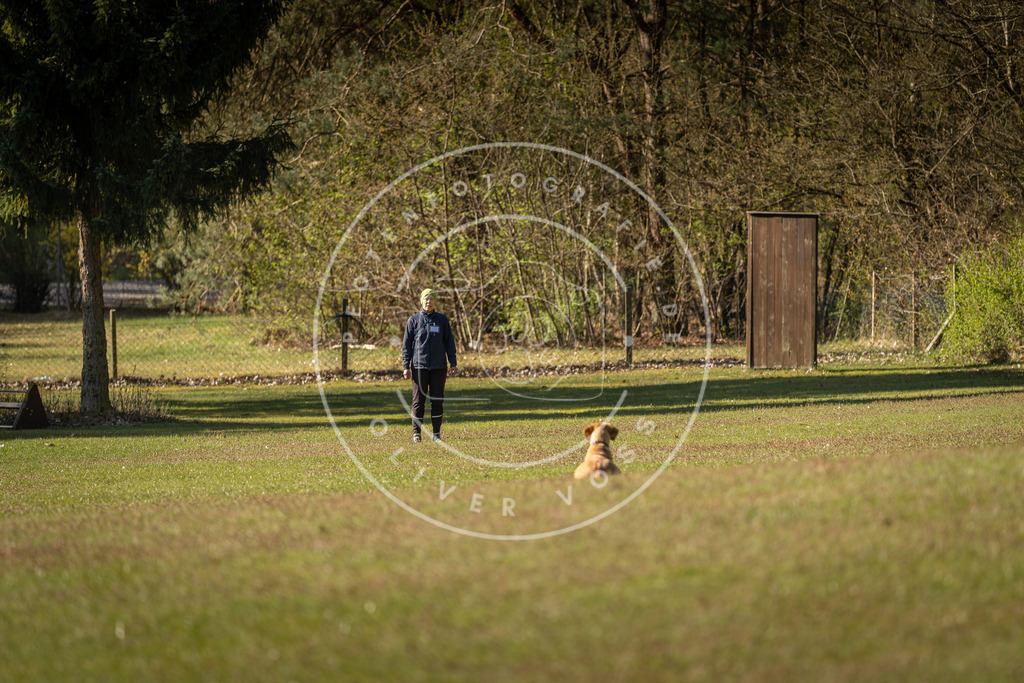 Pfotenfotografie_DV3A0112 | Hundefotografie, Tierfotograf, Pfotenfotografie, Fotoshooting Hund, Hunde Portrait, Hundesport, Hundeportraits, Heideshooting, Hunde, Sportfotograf, Hundefotograf, Turnierhundsport, THS,  - Realisiert mit Pictrs.com