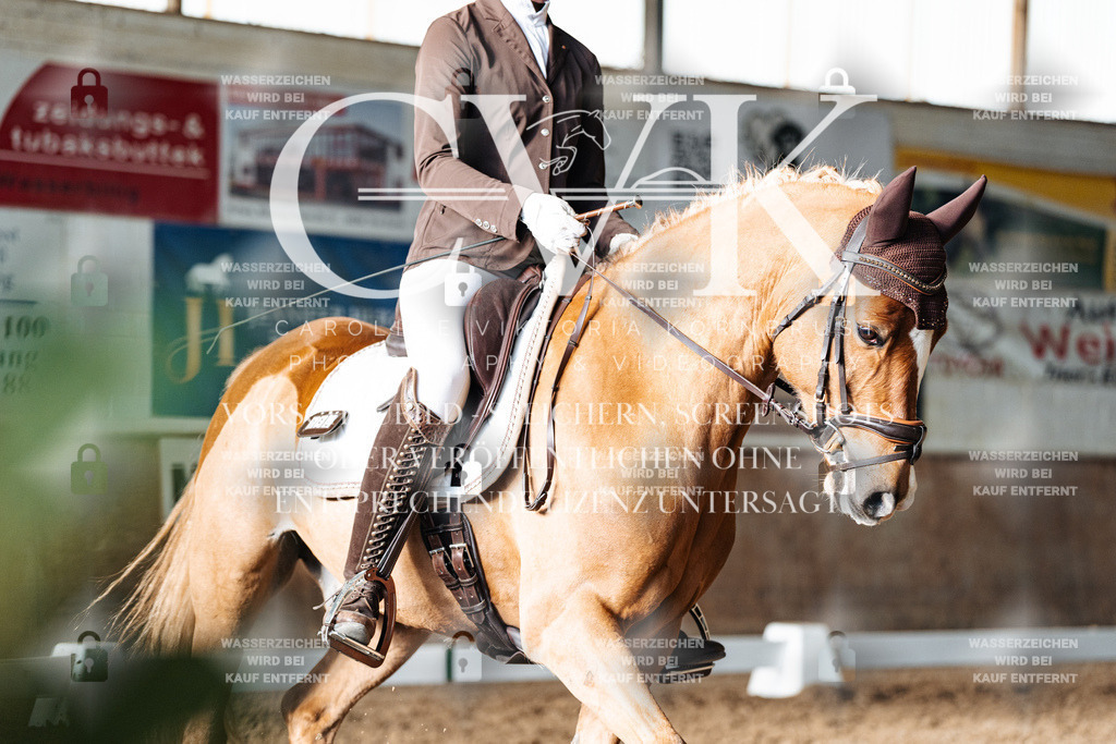 CK902933 | Turnierfotografie Pferdefotografie Trier Rheinland-Pfalz Pferdesport Reitsport Tierfotografie Sportfotografie Pferdevideo Pferdevideografie Equestrianvideography equestrianphotography  - Realisiert mit Pictrs.com