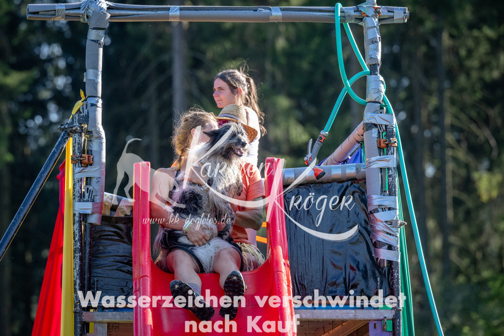 1645_ZZ91278 | kk-dogfotos