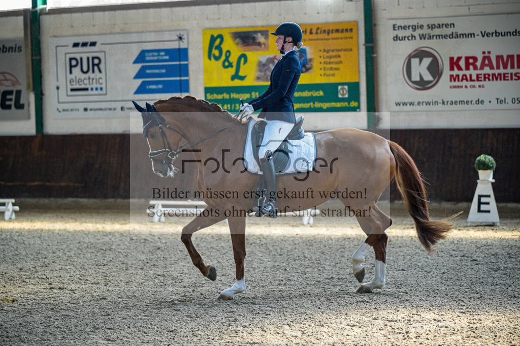 Reitturnier Voxtrup | Entdecke hochwertige Reitturnierfotos von Foto Oger. Professionell, emotional und authentisch – jetzt Lieblingsmomente im Shop bestellen.Deutschlandweite Turnierfotografie. - Realisiert mit Pictrs.com