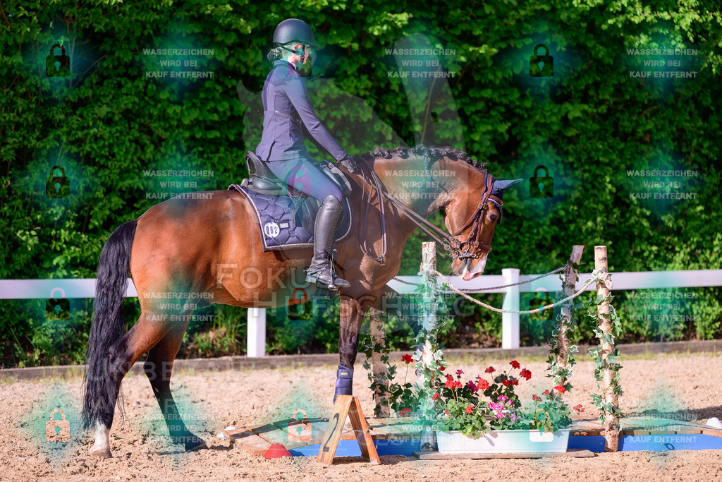 02052026-Giesenbach-03-Speedtrail-0268 | Fokus Hufschlag Fotografie - Realisiert mit Pictrs.com