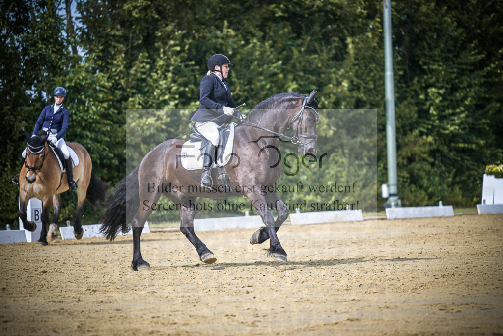 DOS_6659 | Entdecke hochwertige Reitturnierfotos von Foto Oger. Professionell, emotional und authentisch – jetzt Lieblingsmomente im Shop bestellen.Deutschlandweite Turnierfotografie. - Realisiert mit Pictrs.com
