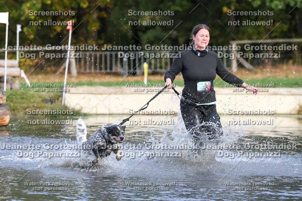 Dog Paparazzi - Strongdog 10-25-8262 | Dog Paparazzi Jeanette Grottendiek Fotografie & Videografie - Realisiert mit Pictrs.com