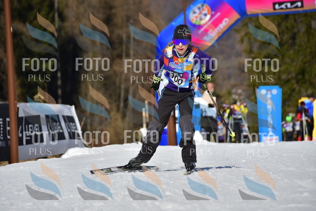 _DSC9590 | holidayphoto