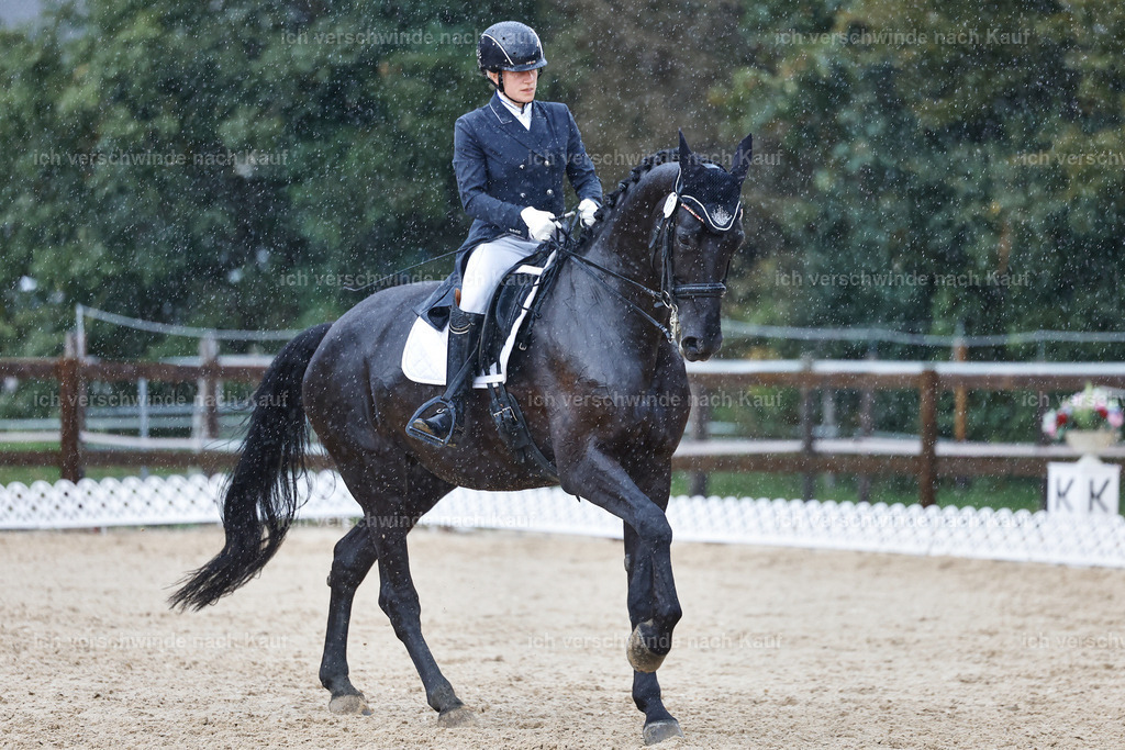 8_2-171-DRESSUR S_  -StoibPH-4494 | working equitationturnier fotograf videograf stoibphotography marixx film working equitation deutschland reitsport turnierfotografie eventfotografie equestrian events