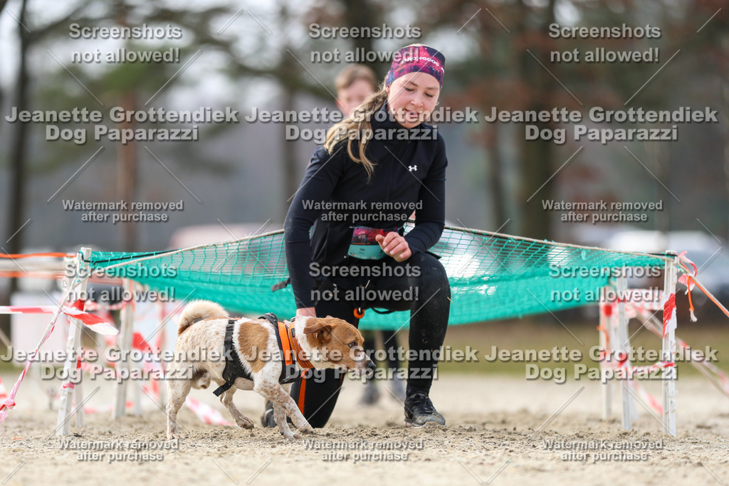 Dog Paparazzi - Strongdog North Mrz26-5236 | Dog Paparazzi Jeanette Grottendiek Fotografie & Videografie - Realisiert mit Pictrs.com