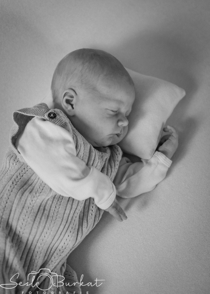 20260314-0G3A8373 | Authentische, natürliche und emotionale Fotoshootings auf der Nordseeinsel Föhr. Als Fotografin halte ich deine schönsten Momente in einzigartigen Neugeborenen-, Familien-, Paar- und Einzelshootings fest. Jetzt einen Termin vereinbaren!
