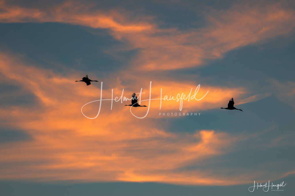 DSC03913 | Landschaftsfotografie, Naturfotografie - Realisiert mit Pictrs.com