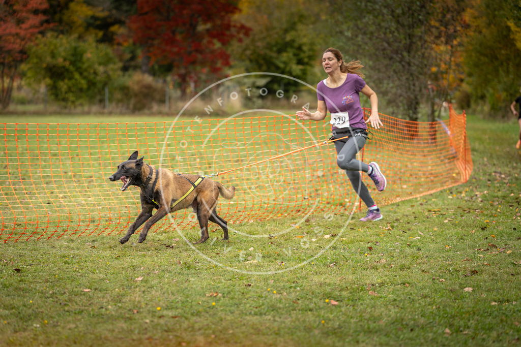 Pfotenfotografie_DV3A4541 | Hundefotografie, Tierfotograf, Pfotenfotografie, Fotoshooting Hund, Hunde Portrait, Hundesport, Hundeportraits, Heideshooting, Hunde, Sportfotograf, Hundefotograf, Turnierhundsport, THS,  - Realisiert mit Pictrs.com