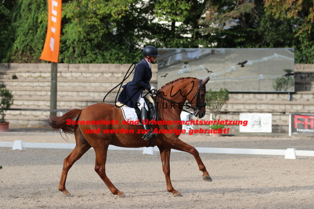 IMG_6028 | lmwpictures - Realisiert mit Pictrs.com