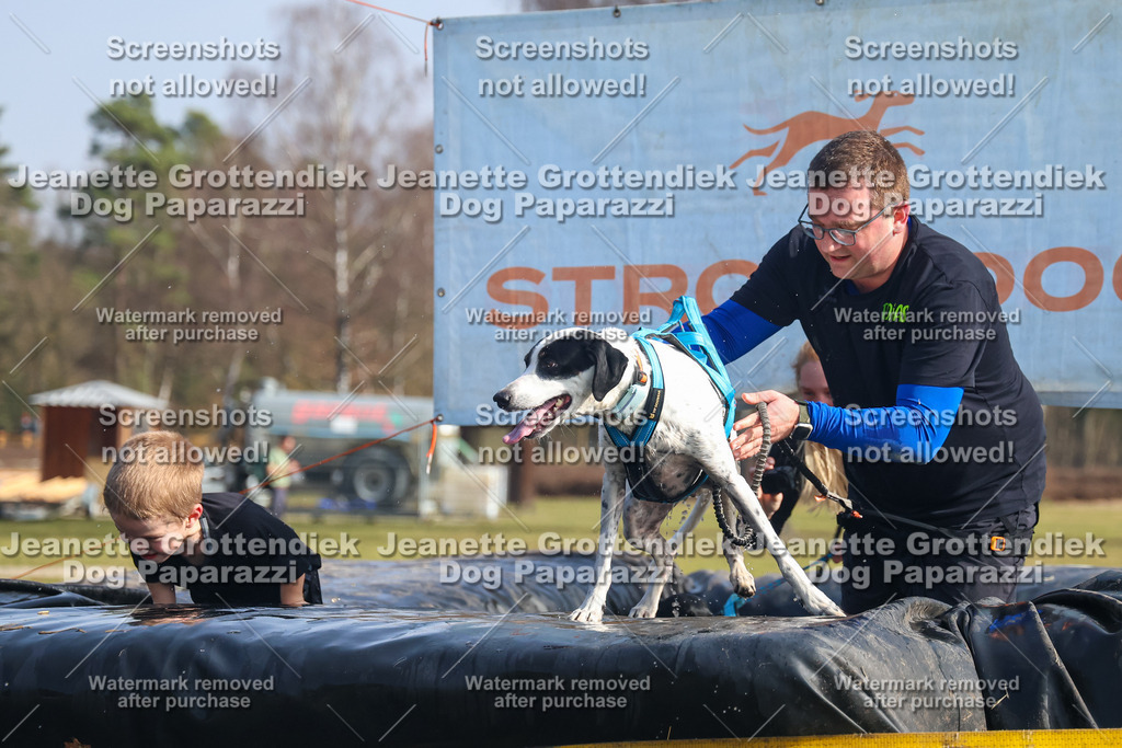 Dog Paparazzi - Strongdog North Mrz26-1869 | Dog Paparazzi Jeanette Grottendiek Fotografie & Videografie - Realisiert mit Pictrs.com