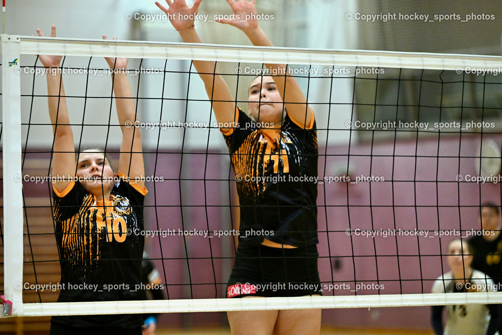 ASKÖ Volley Eagles Villach vs. VC Hausmannstätten | #10 СЕНІС Еlwira ASKÖ Volley Eagles Villach, #11 Ilvie HOFER ASKÖ Volley Eagles Villach, ASKÖ Volley Eagles Villach vs. VC Hausmannstätten, ASKÖ Volley Eagles Villach vs. VC Hausmannstätten am 01.02.2025 in Villach (Ballspielhalle Lind), Austria, (Photo by Bernd Stefan)