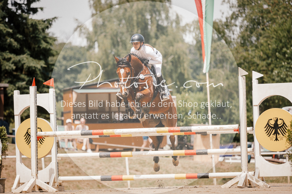 3I6A7766 | Stimmungsvolle Portraits und Reitsportfotografie im Ruhrgebiet und im Münsterland.

Pferdefotografie, Hundefotografie, Tierfotografie, Reportagen, Portraits von Tier und Mensch, Turnierfotografie in Bochum, Recklinghausen, Marl, Haltern am See, Dülmen.. - Realisiert mit Pictrs.com