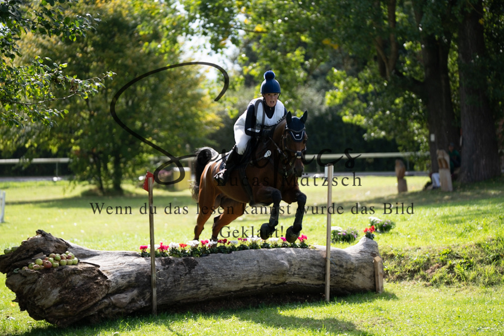 A7V03865 | Pferdefotograf