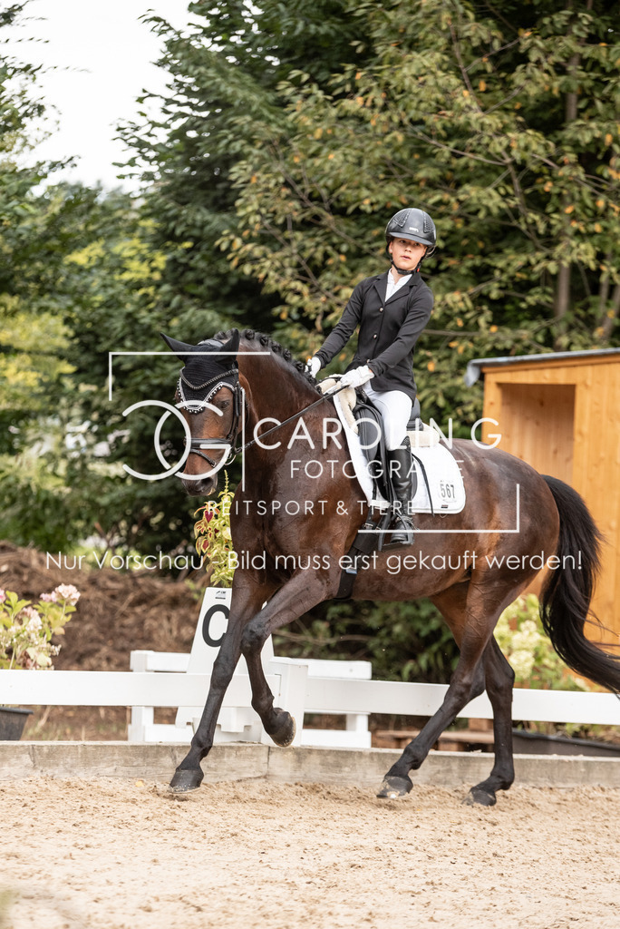DSC_7733 | Turnierfotografin Carolin Gieschke, Turnierfotografie Carolin G Fotografie, Turnierfotos Kirchheim/Teck, Esslingen, Stuttgart, Bodenseekreis