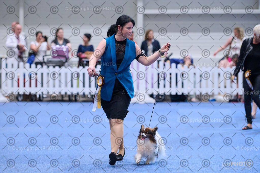 202406_ÖKV-IHA-Tulln24_DSC_3671 | proPHOTO - Realisiert mit Pictrs.com