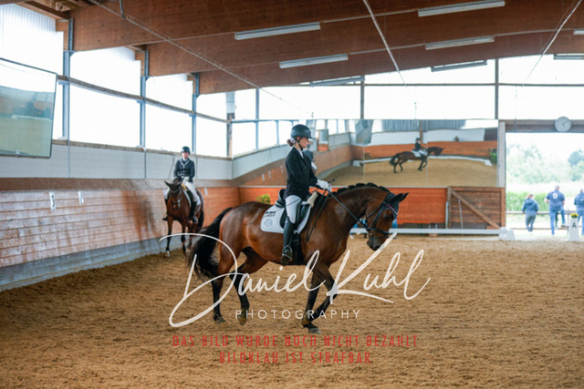 _62_6034 | Turniersportfotografie; Pferdefotografie; Dressurfotografie