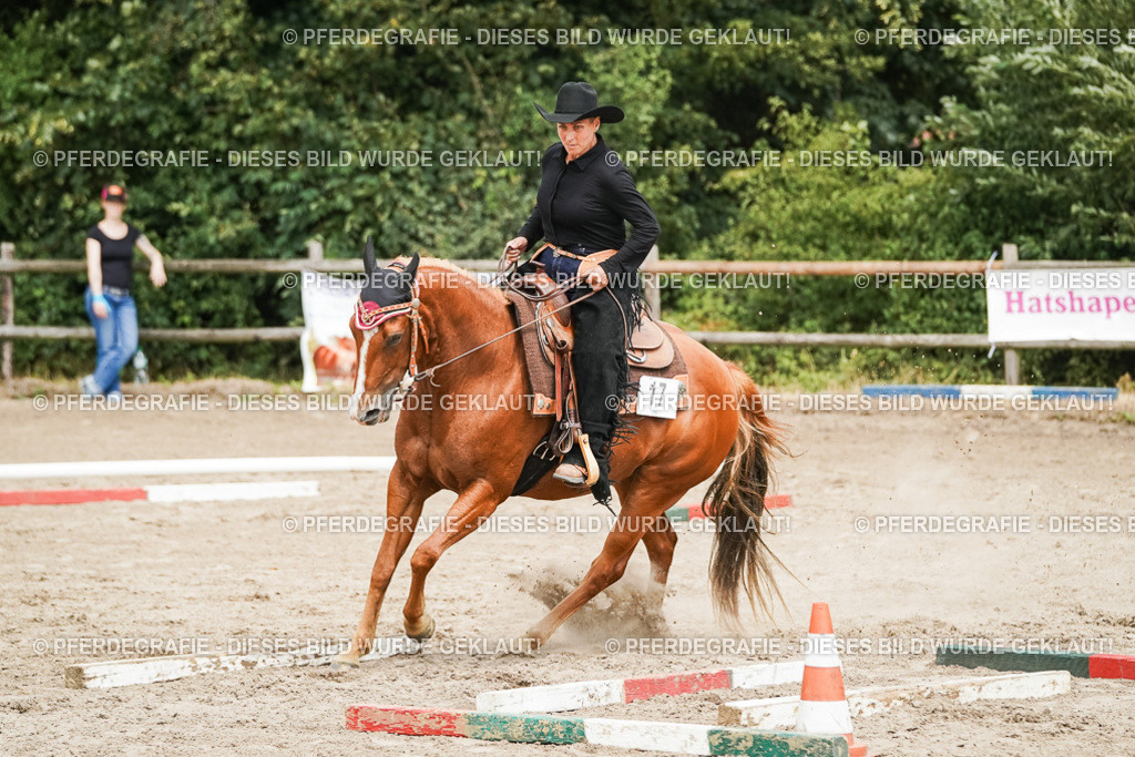 DSC08104 | Pferdegrafie