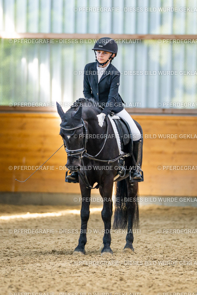 DSC02707 | Pferdegrafie