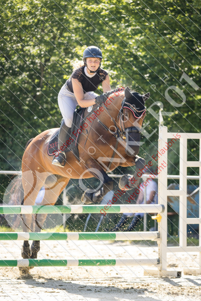 IMG_2661 | Sport-, Event- und Tierfotos in Profiqualität. Einfach auswählen, bestellen und herunterladen. Dein Moment – perfekt festgehalten.
