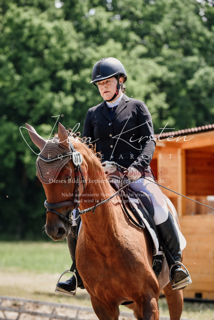 DSC_1278 | Pferde- und Turnierfotografie in Westsachsen. Pferdeportraits, Auftragszeichnungen und intuitive Kunst.