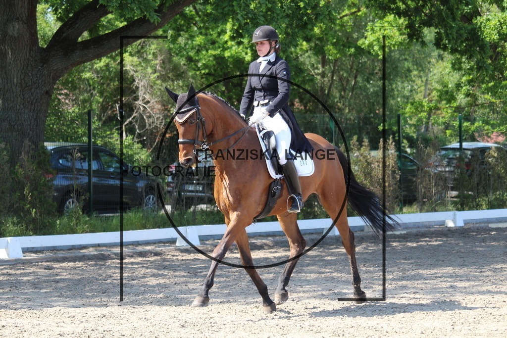 IMG_4870 | franziskalange - Realisiert mit Pictrs.com