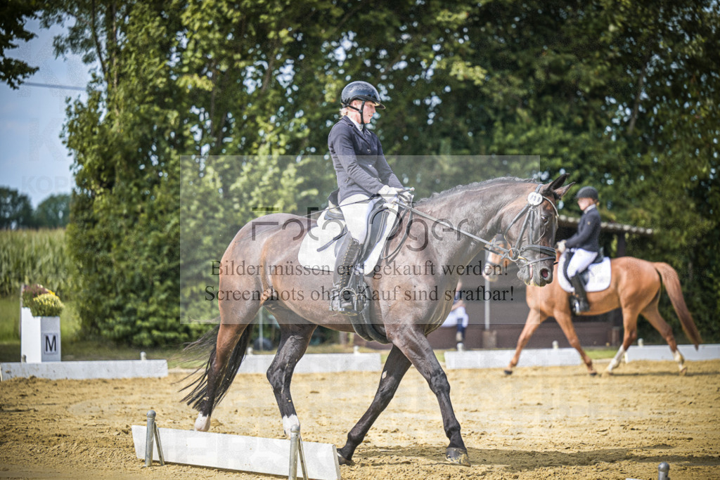DOS_5582 | Entdecke hochwertige Reitturnierfotos von Foto Oger. Professionell, emotional und authentisch – jetzt Lieblingsmomente im Shop bestellen.Deutschlandweite Turnierfotografie. - Realisiert mit Pictrs.com