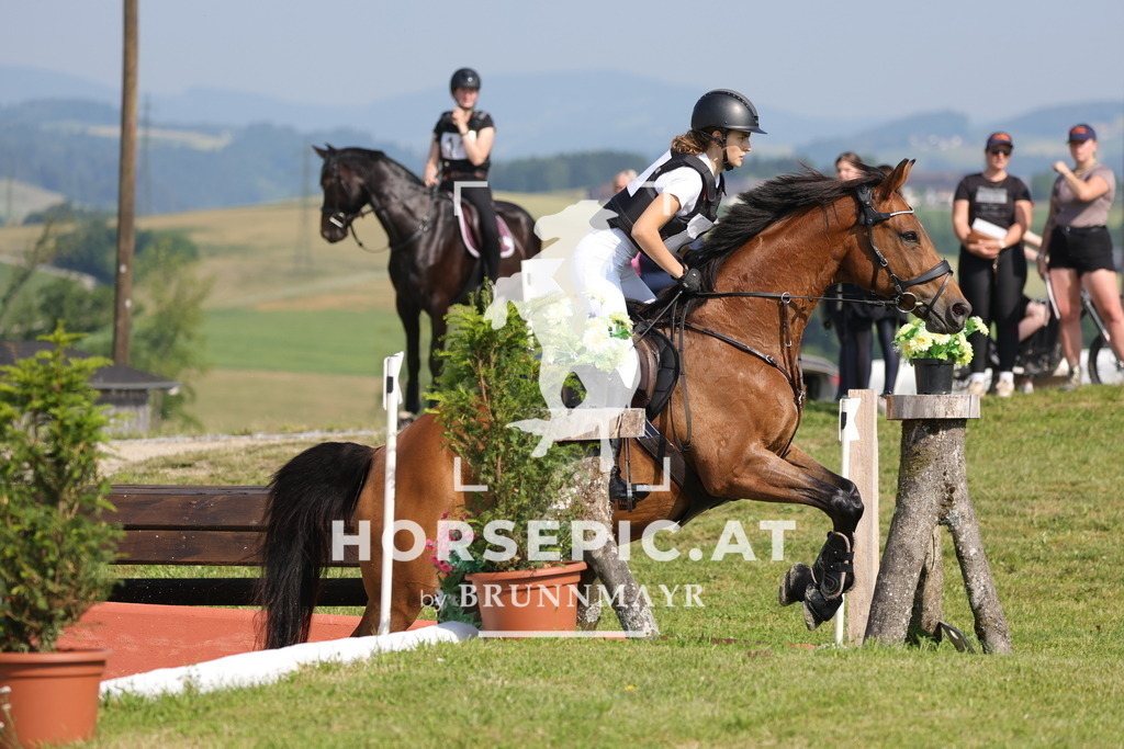 0P6A7411 | Willkommen bei Brunnmayr - Design & Fotografie – Ihrem Spezialisten für Reitturniere und Pferdeveranstaltungen in Oberösterreich, Salzburg und Bayern! Seit über 17 Jahren sind wir leidenschaftlich dabei.