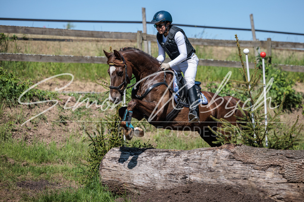 20260523-_3LI7481 | Tierfotografie Pferde, Hunde, Katzen, Haustiere.
Turnierfotografie Reitturniere, Reiten, Springreiten, Dressur in Hanau, dem Main-Kinzig-Kreis und dem Rhein-Main- Gebiet um Frankfurt