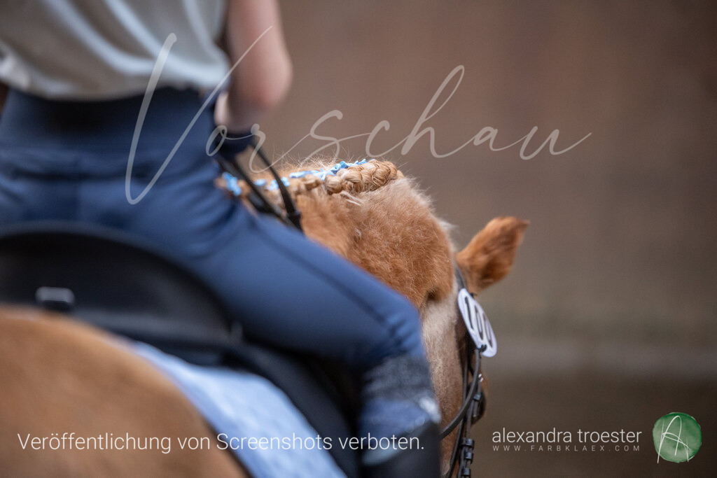 250405_Barop_01_226 | farbklaex.com