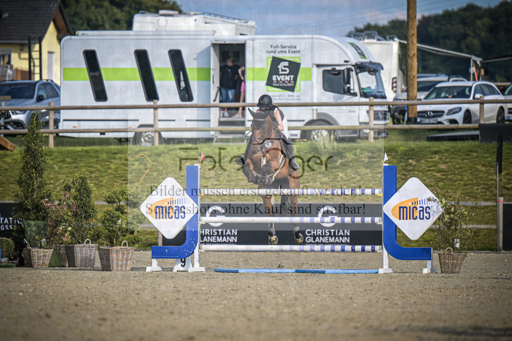 DOS_3218 | Entdecke hochwertige Reitturnierfotos von Foto Oger. Professionell, emotional und authentisch – jetzt Lieblingsmomente im Shop bestellen.Deutschlandweite Turnierfotografie. - Realisiert mit Pictrs.com