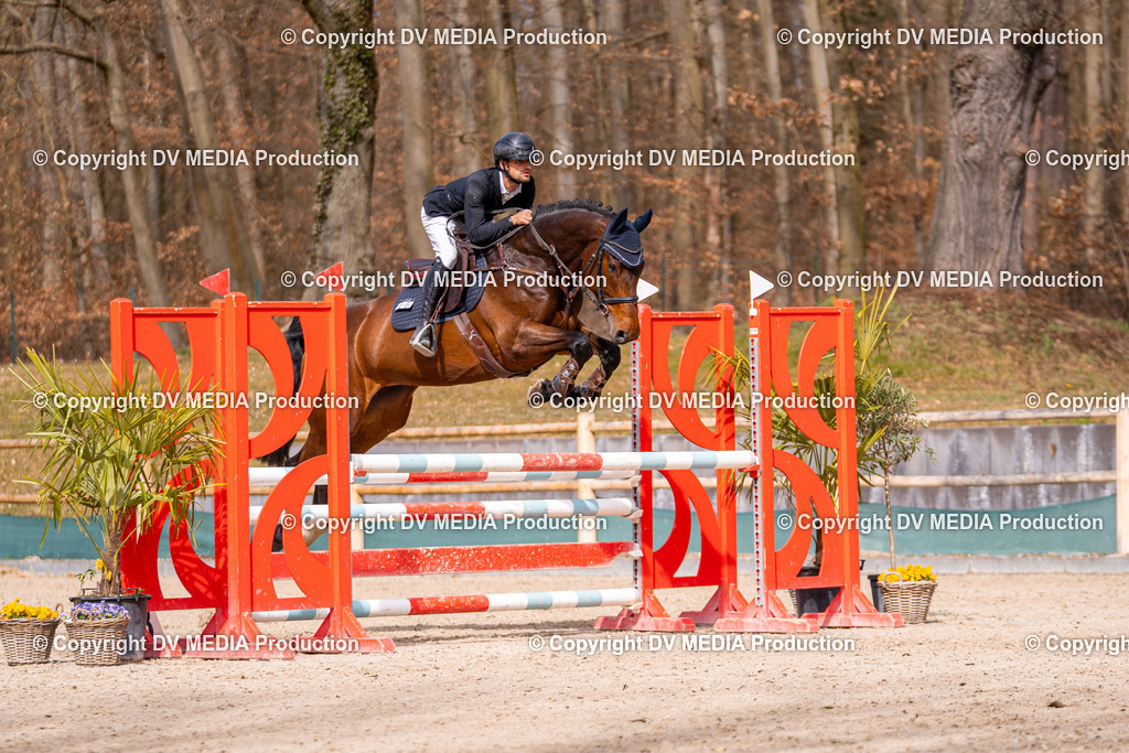 Kranichstein Tag 1-593 | dv-media-shop - Realisiert mit Pictrs.com