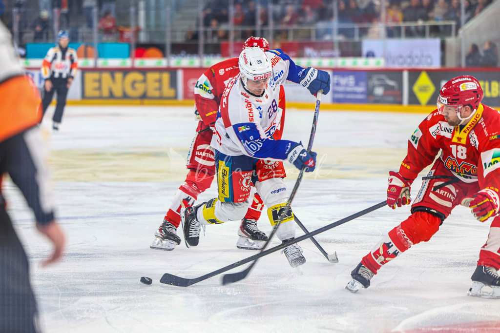 EHCB vs EHCK_wb-1500 | Sportbilder, Sportfotograf, Hochzeits- und Eventfotografin, Flugshows, Portraits und Tiershooting, Aviation, Downhill, Nationalleague, Swissleague, International