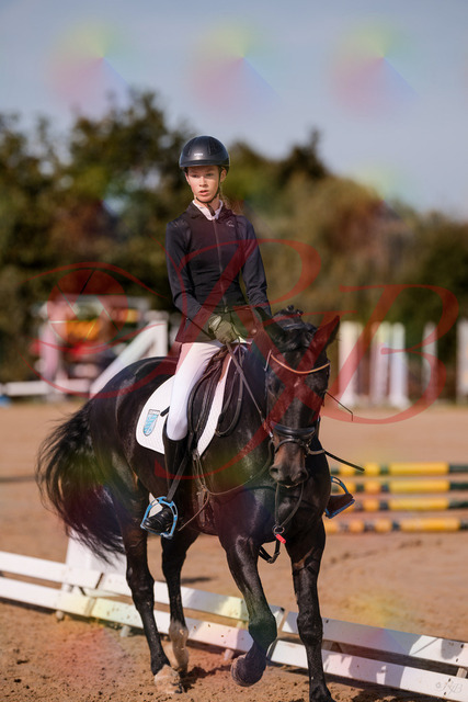 2026_10_03_Siefer-Hof_115507_Z81_95561698 | Professionelle Reitsport-, Turnier- und Eventfotografie von Robert Broda. Galerien mit ausgewählten und bearbeiteten Bildern direkt online ansehen und bestellen.