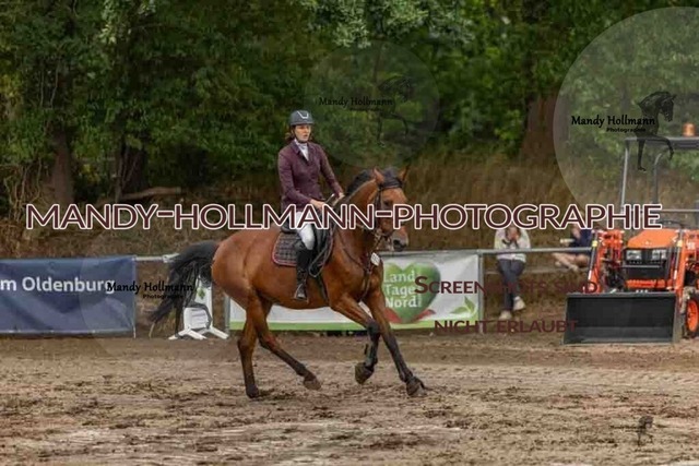26-8-7 SPR L-179 | mandyhollmannphotographie