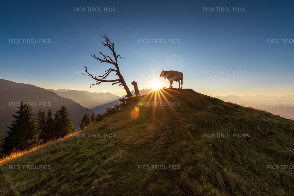 DSC_9274-Verbessert-RR-Bearbeitet | Tirolpics