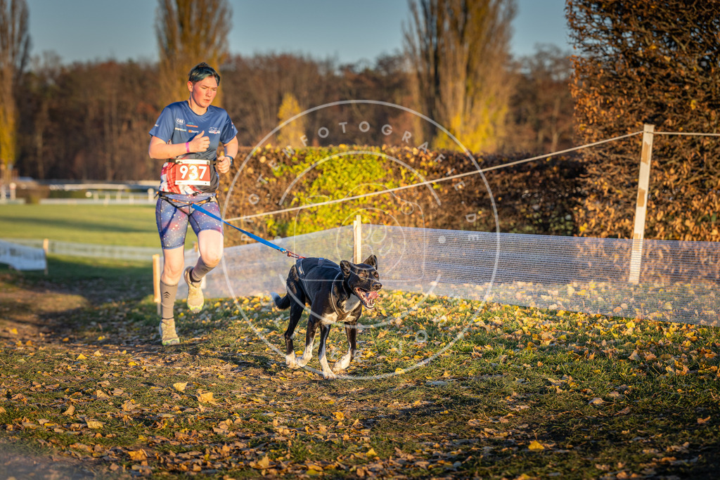CaniXpix_DV3A5309 | Hundefotografie, Tierfotograf, Pfotenfotografie, Fotoshooting Hund, Hunde Portrait, Hundesport, Hundeportraits, Heideshooting, Hunde, Sportfotograf, Hundefotograf, Turnierhundsport, THS,  - Realisiert mit Pictrs.com