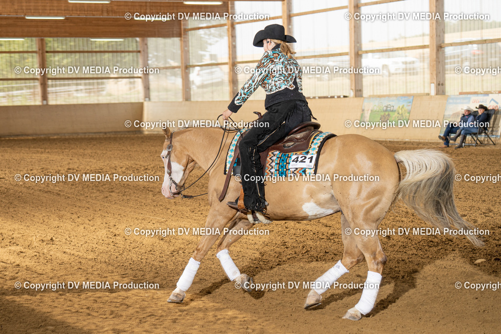 LAU01560 | dv-media-shop - Realisiert mit Pictrs.com