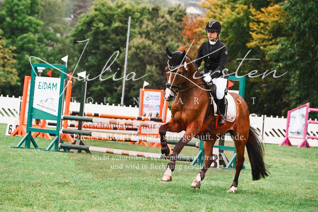 DSC_6600 | Pferde- und Turnierfotografie in Westsachsen. Pferdeportraits, Auftragszeichnungen und intuitive Kunst.