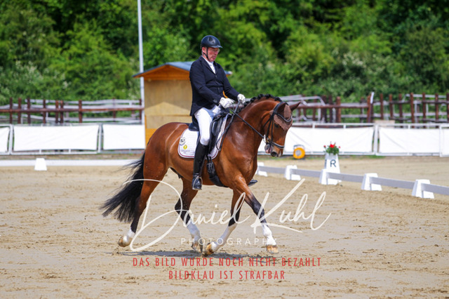 DKP46029 | Turniersportfotografie; Pferdefotografie; Dressurfotografie