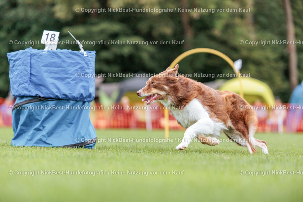 BSP Hoopers-H2 Tag2-2026-Nickbest-Hundefotografie-TuS Komet Arsten e.V.-7345 | Dein Hund! Dein Moment! Deine Erinnerungen! Hundefotografie in Bremen Blumenthal. Ich fange die besonderen Momente deines Vierbeiners ein – ob Indoor mit Blitzanlage oder in der freien Natur. Sicher dir dein Moment und dein Termin für eure Erinnerungen.