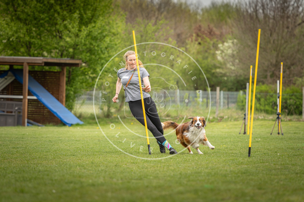 Pfotenfotografie_DV3A9443 | Hundefotografie, Tierfotograf, Pfotenfotografie, Fotoshooting Hund, Hunde Portrait, Hundesport, Hundeportraits, Heideshooting, Hunde, Sportfotograf, Hundefotograf, Turnierhundsport, THS,  - Realisiert mit Pictrs.com